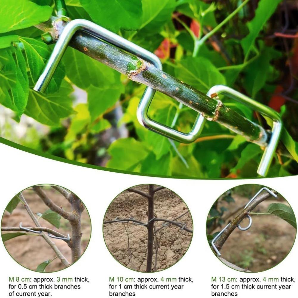 M-Type Fruit Tree Branch Bender, Branch Shaping Fixator for Upward Lateral Branches, Garden Fruit Tree Branch Pressing Training Tool