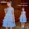 Disney Elsa Girls Princess Dress