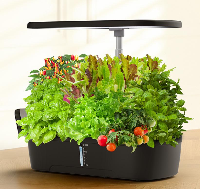 Premium LED Full Spectrum Grow Light for Seedlings & Succulents - Sunlight Simulation Smart Hydroponic System