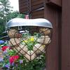 Hanging Feeder for Wild Birds Feeder Basket for Lovebirds Finches Canaries- Wild Bird Feeding Food Dispenser Storage