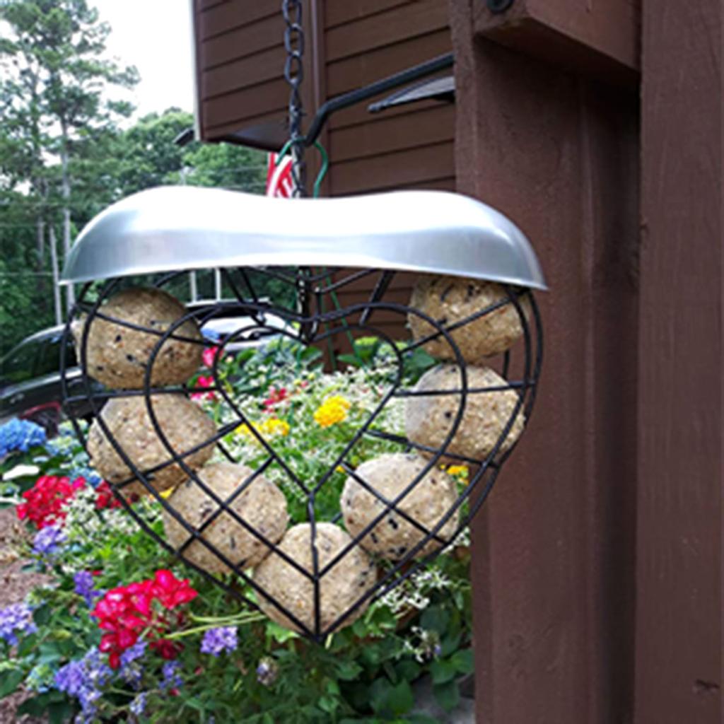 Hanging Feeder for Wild Birds Feeder Basket for Lovebirds Finches Canaries- Wild Bird Feeding Food Dispenser Storage