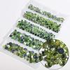 Jewelry Mobile Phone Rhinestone 1000PC Manicure 2-6mm DIY Resin 5-Piece Bag Beauty Rhinestone