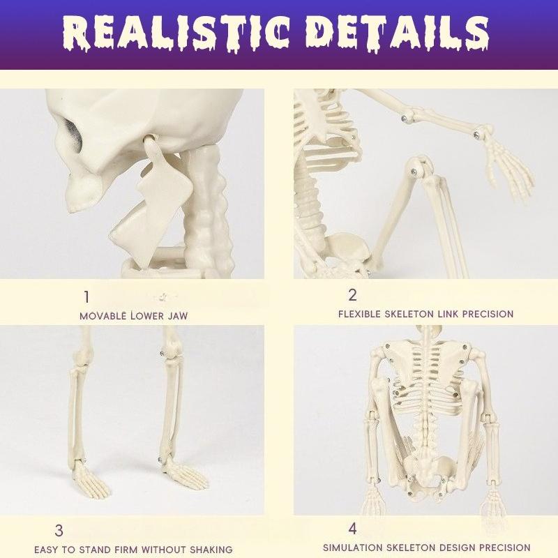 40cm Halloween Skeleton Plastic Model - Spooky Skull Decor for Haunted House & Yard Displays, Creepy Prop for Halloween Night