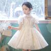 Girls Princess Short Sleeve A Line Dress Summer Party Performance Flower Girl Dress