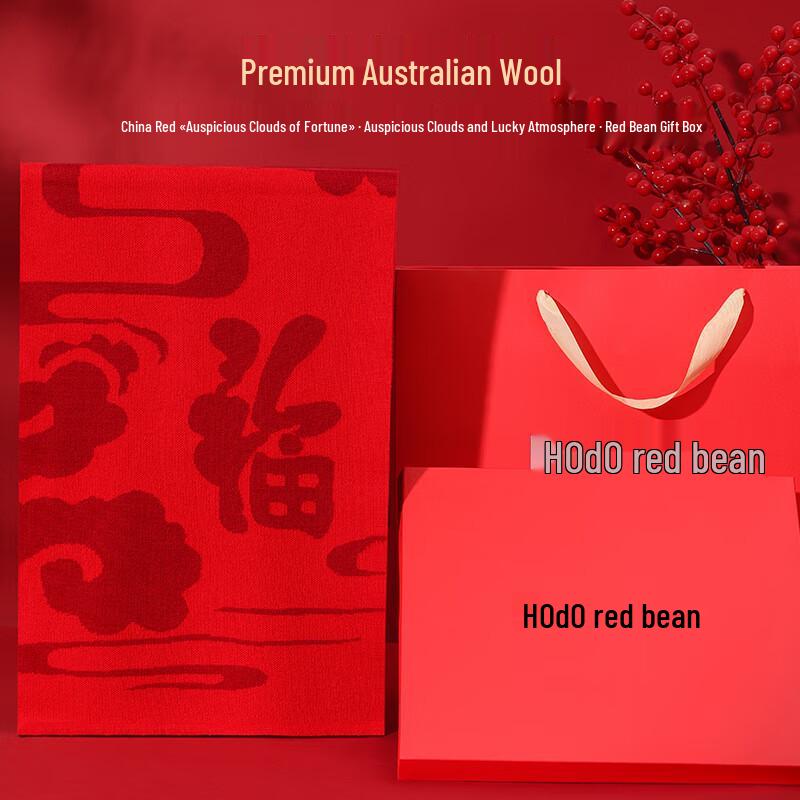 Hodo Women's Warm Blended Scarf & Shawl