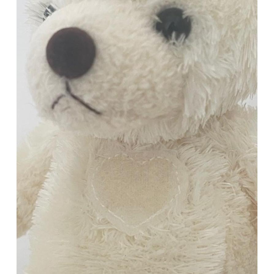 AURORA Plush Heart Teddy Ivory