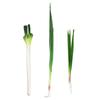 Realistic Artificial Garlic Sprouts/Scallions Model Food Placement Display Photoshoots Props for Home Restaurants Decor