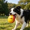 Pet Toy Built-in Airbag Sound Effect Chewing Toy with Bird Design Elastic Rubber Interactive Toy for Dogs