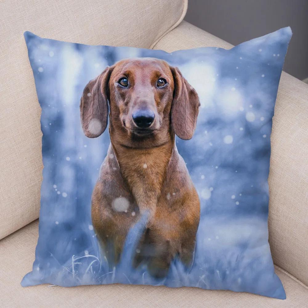 Mini Dackel Hund Kissenbezug Dekor Haustier Tier Kissenbezüge Superweicher Plüsch Kissenbezug für Sofa Zuhause Kinderzimmer 45x45cm