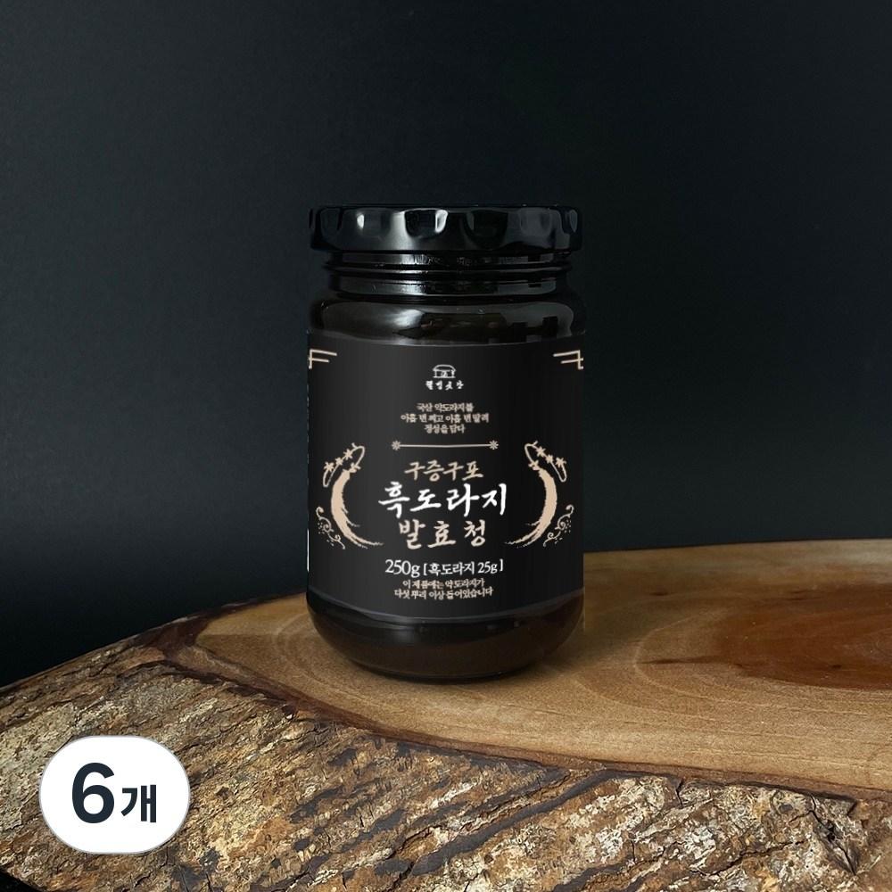 Wellbeing Gotgan Gujeunggupo Black Balloon Flower Root Fermented Syrup 250g 6 Pcs