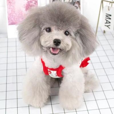 Dog Pet Clothes Summer Suspender Skirt Bigbear Teddy Puppy Pussy Princess Cherry Tank Skirt West Highlands