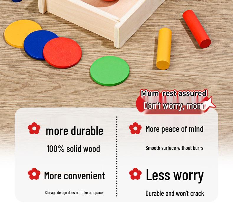 Montessori Color & Shape Recognition Building Blocks for Toddlers