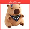 Adorable Capybara Plush Toy Doctor Figure Unique Graduation Memorial Pillow Soft Toy