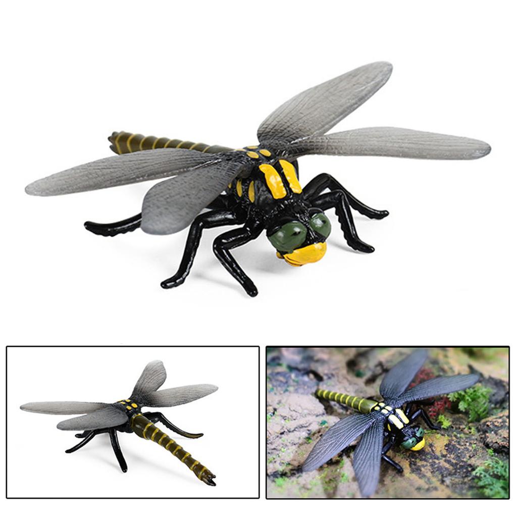 Spiders Dragonfly Gogga Model Realistic Scarab Toy for Kids and Collectors Toy Decorative Collection Gift