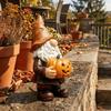 Cartoon Garden Dwarfs Statues Resin Dwarf Holding Pumpkin Ornament Halloween Pumpkin  Lawn Garden