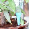 Dispositivo automatico di irrigazione per fiori in vaso, irrigatore automatico per piante, irrigazione a bottiglia a rilascio lento