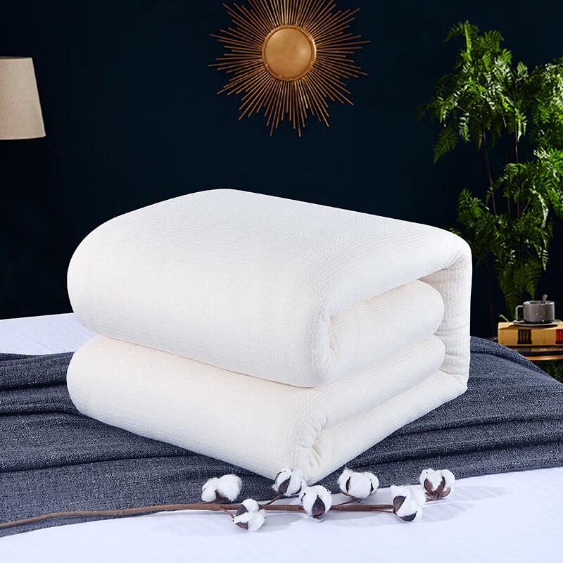 Thick Warm Cotton Blend Quilt for Single Bed