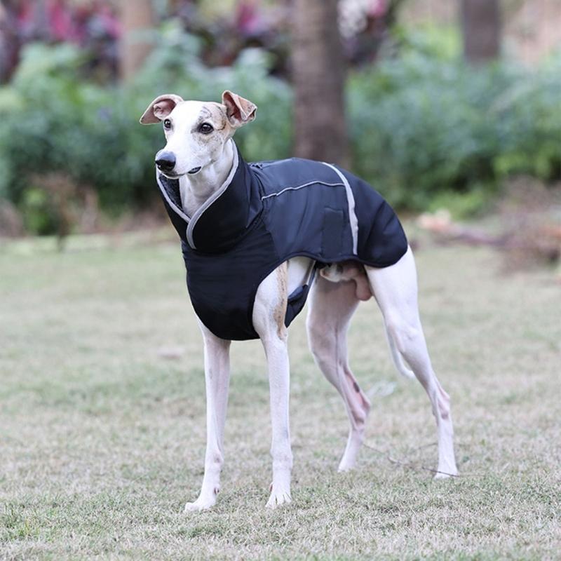 Large Breed Dog Clothes Warm Canine Coat Comfortable Dog Attire Padded Dog Vests for Dogs of Various Size