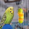 Stainless Steel Parrots Fruit Skewer Adjustable Parrot Treat Holder Vegetable Skewer Bird Cage