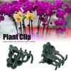 200Pcs Beautiful Rose Shape Plant Clip Garden Flower Stems Support Clips Fixing Tool AccessoryGreen