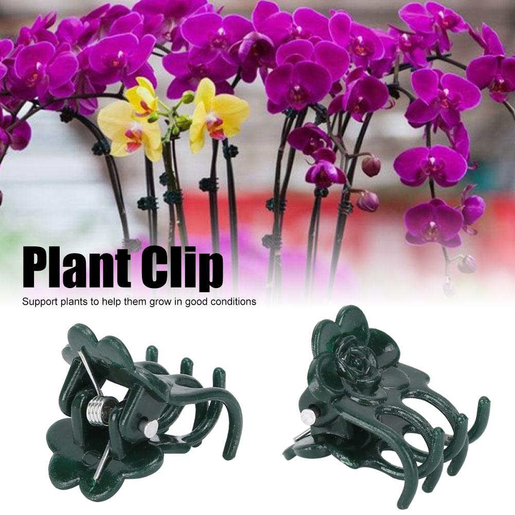 200Pcs Beautiful Rose Shape Plant Clip Garden Flower Stems Support Clips Fixing Tool AccessoryGreen