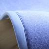 Cross-Border Coral Fleece Non-Slip Absorbent Bathroom Mat for Toilet & Sink