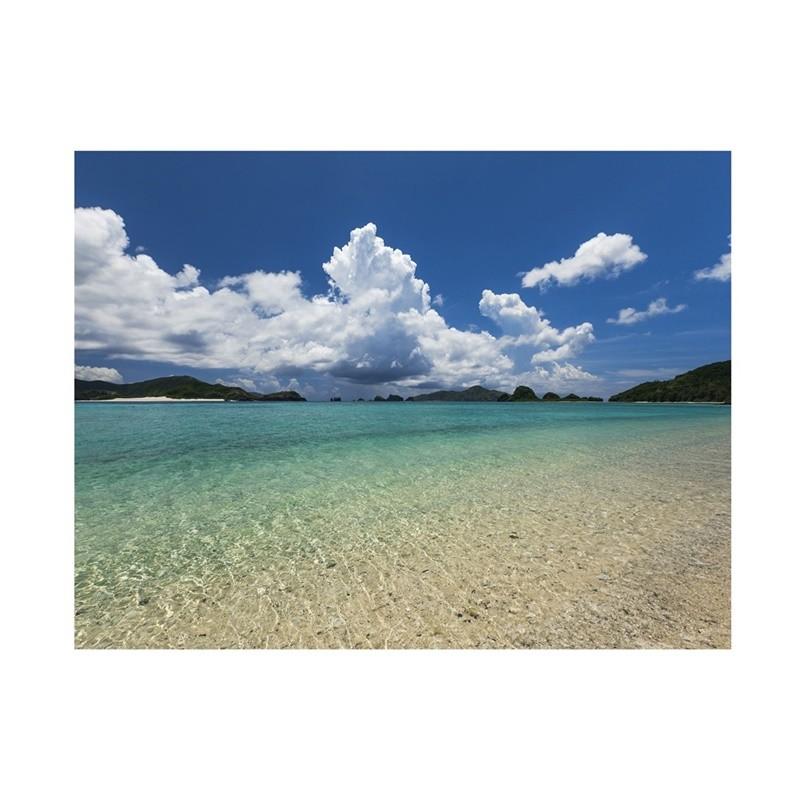 Ropical Beach Backdrop Banner,Wall Decor for Summer Parties,Events,Photo Shoot Backdrop,Beach Theme Decor,Weddings