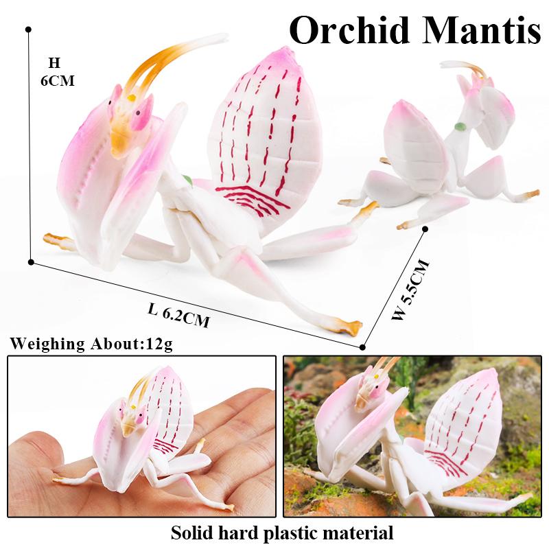 Oenux  Insect Animals Model Butterfly Bee Dragonfly Mantis Ant Snail Action Figures Jouet Collection Decor Kids Education Toy