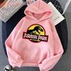 Jurassic Park Dinosaur Print Children's Hoodie, Comfortable, Soft, High-quality Sweatshirt, Warm Top for Autumn and Winter