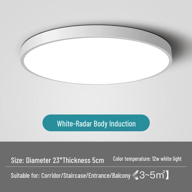 Smart LED Ceiling Light