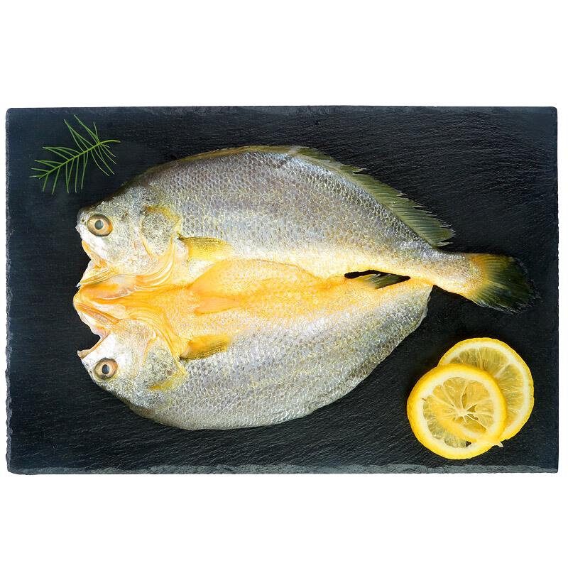 Sandu Port Yellow Croaker Seafood