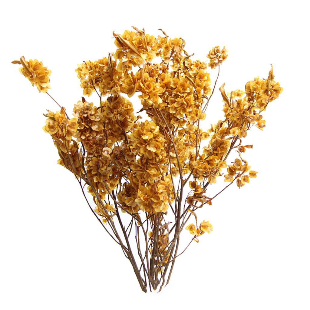 

Dried Flower Bouquet Plant Stem Bunch Real Dried Flower Dry Flower Bundle for Living Room Vase Party New Year Decorating світло-жовтого кольору