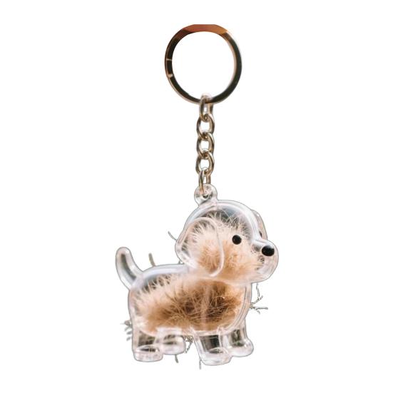 Pet Hair Memorial Keychain Pet Hair Preservation Bottle Transparent Synthetic Resin Engraved Pet Memory Jar