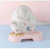 Pet Double Bowl  Concise Candy Color One Bowl  Purpose Pet Bowl