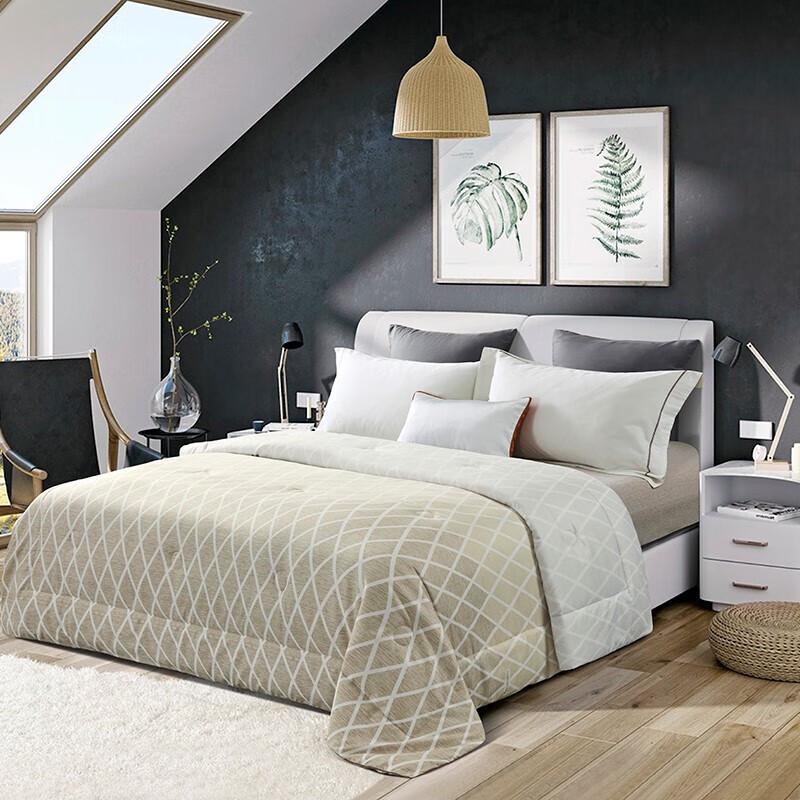 

Softnie Warm Core Quilt