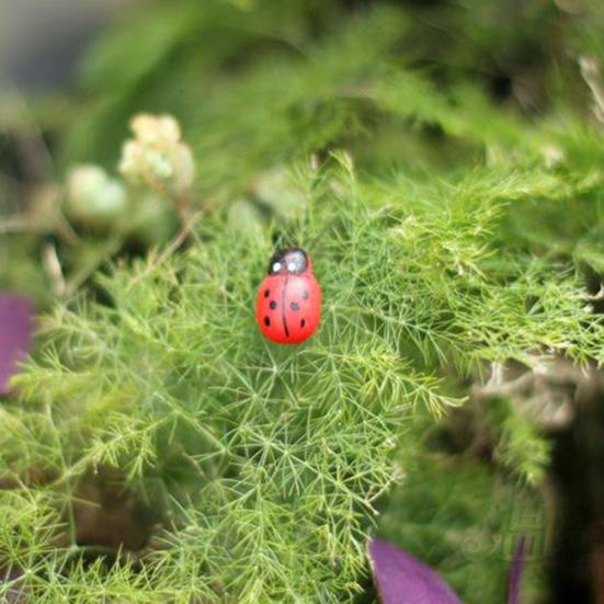 100Pcs/Set Manual Mini Wooden Ladybird Micro Landscape Decor DIY Wall Sticker