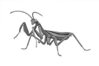 Пластикова модель серії Creatures Giant Praying Mantis No.23 EX-4 (Металеве срібло)