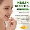 XEMENRY High-Absorption Garlic Capsules, Antioxidant, Immune System Boosting, Suitable for Adults