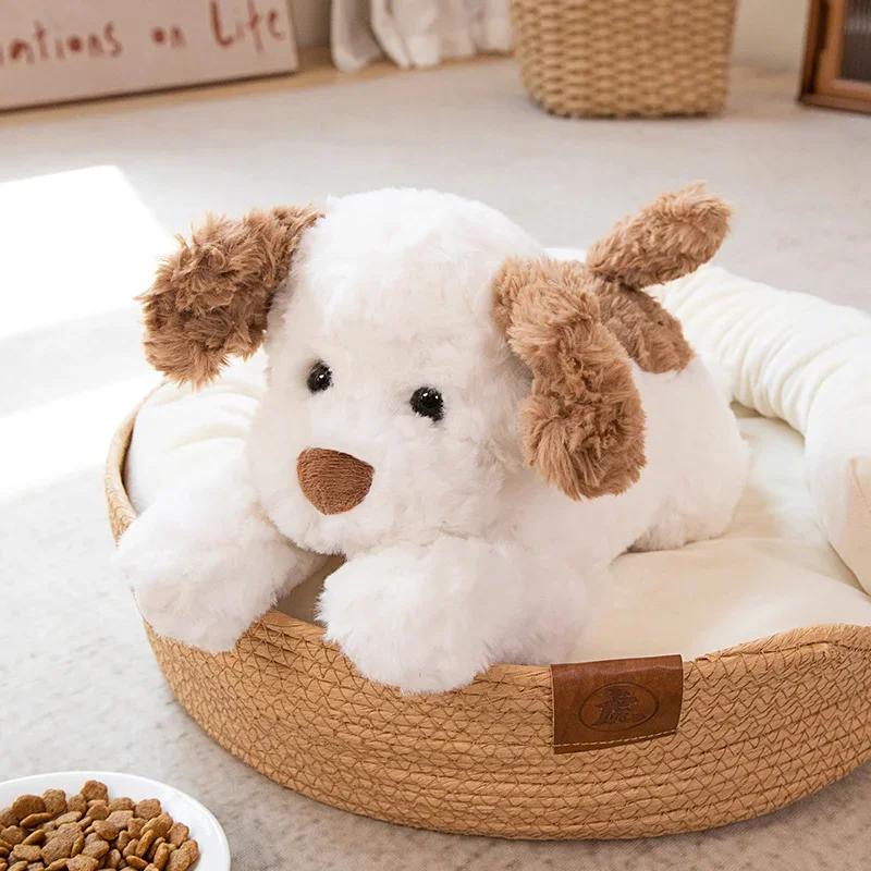 354555Cm Kawaii Hond Pluche Speelgoed Gevuld Zacht Pup Kussen Schattig Cartoon Dier Pop Kamer Decor Baby Kinderen Meisjes Verjaardagscadeau about 35cm