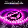 Led Grow Light Strip Waterproof Energy Saving Full Spectrum Grow Lamp For Indoor Plant Vegetable