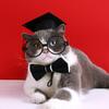 1 sada maturitního obleku pro domácí mazlíčky Rozkošný nastavitelný se střapcem Pet Kočky Psi Cosplay Kloboukový obojek Sada brýlí Příslušenství pro domácí mazlíčky