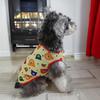Pet clothing dog cat vest bear print cute breathable new clothes summer clothing thin small medium dog