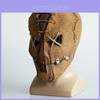 Halloween Horror Latex Mask Skull Head Cover For Party Cosplay Props Wholesale