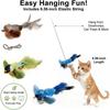 Sounding Catnip Cat Teaser Toy Self-hilarity Wall Hanging Birds Cat Toy Indoor Interactive Birds Toy for Cat Chasing Teasing Toy