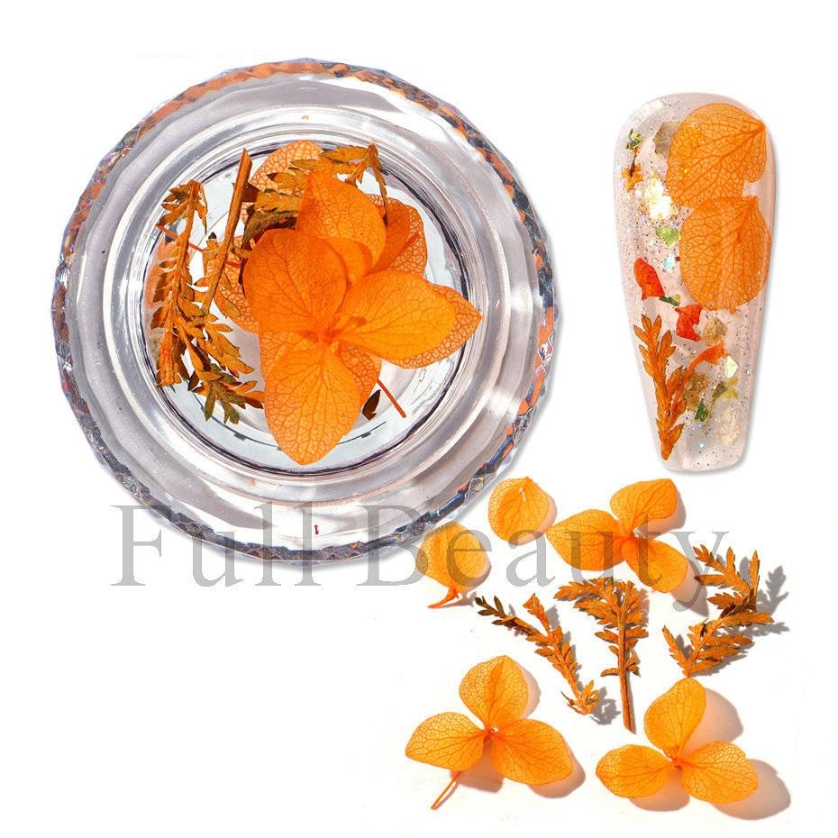 

1 коробка для ногтей, сушеные цветы, маленькие ромашки, натуральные цветочные наклейки, смешанные сухие цветы, сделай сам, наклейки для дизайна ногтей, УФ-гель-лак для маникюра