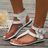Women's Flat Sandals 2025 Summer New Pinch Toe Cool Boots Casual High-top Sandals for Women Beach Roman Shoes Flip-flops