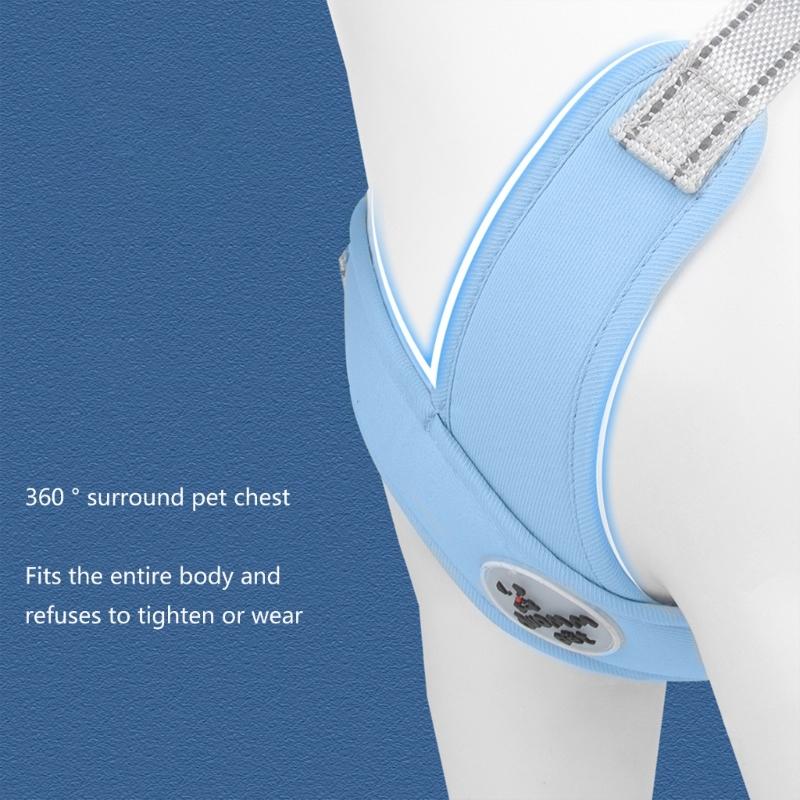 Dog Harness All-Weather Vest with Metal D-Ring Reflective Soft Harnesses with Leashes for Small Medium Dogs