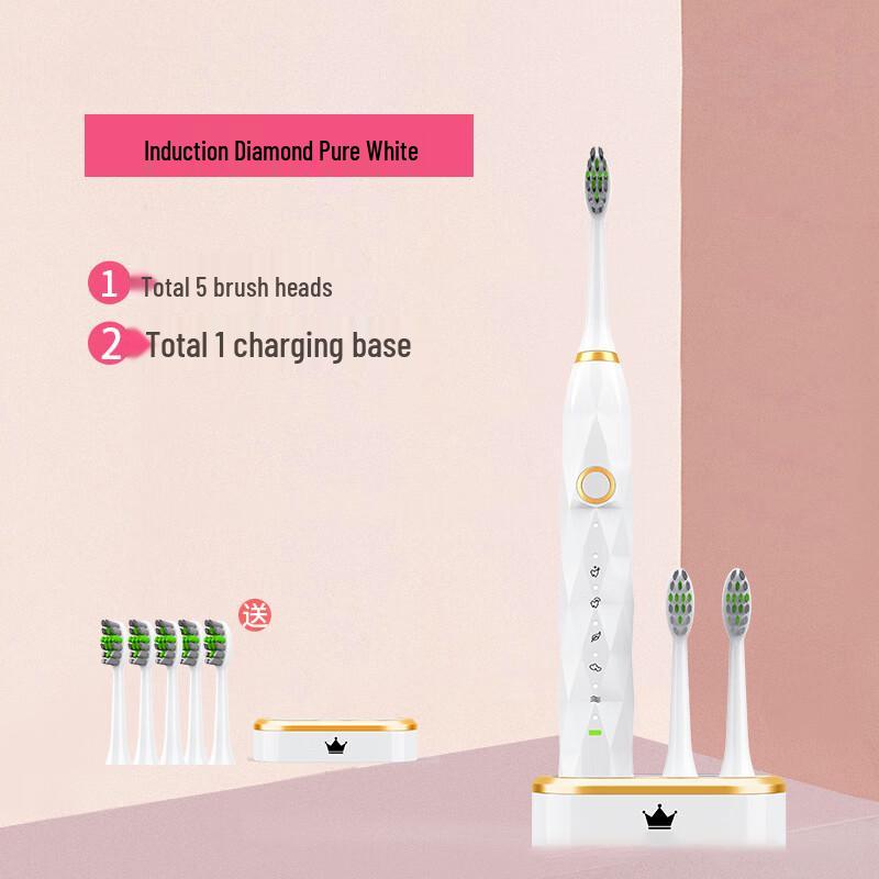 

DSK Smart Sonic Electric Toothbrush