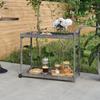 316667 vidaXL Bar Cart Grey 100x45x83 Cm Wicker
