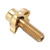 RISK Bike Front Derailleur Screw Gasket Kit Hollow Titanium Alloy Folding Bicycle Derailleur Screw Accessory Gold